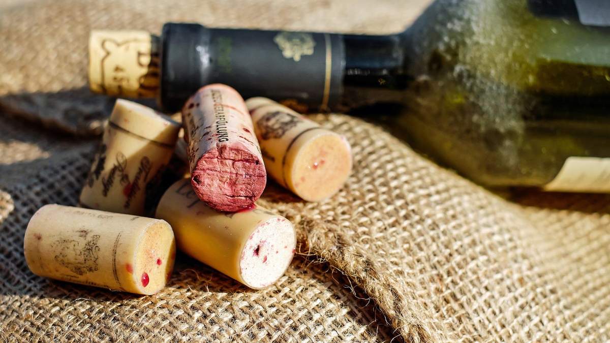 Винные пробки: с чего и где делают Винные пробки: с чего и где делают